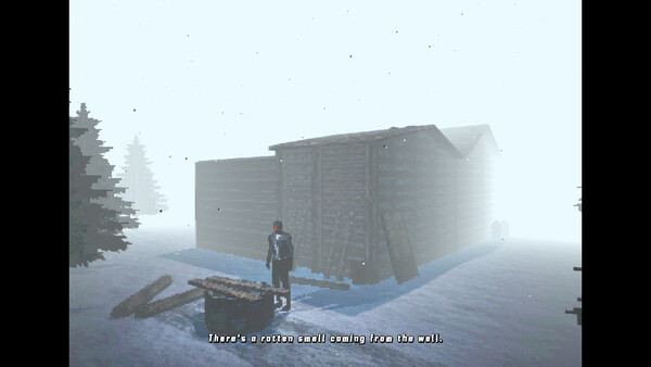 THE WINTER SOLSTICE screenshot 9