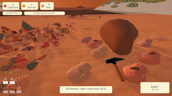 Seashell Hoarder: Tidy Up — 8