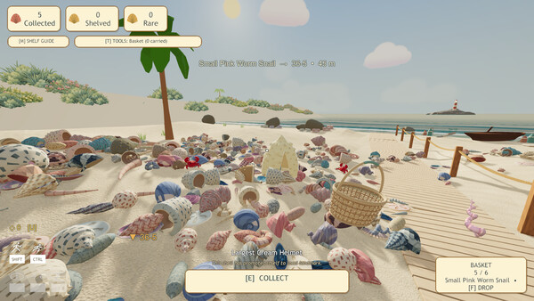 Seashell Hoarder: Tidy Up — 9