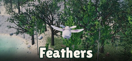 Feathers