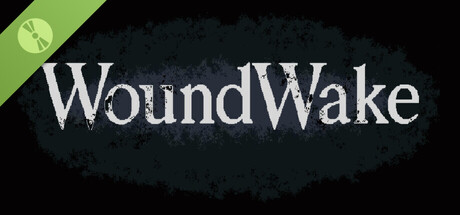 Poster WoundWake Demo