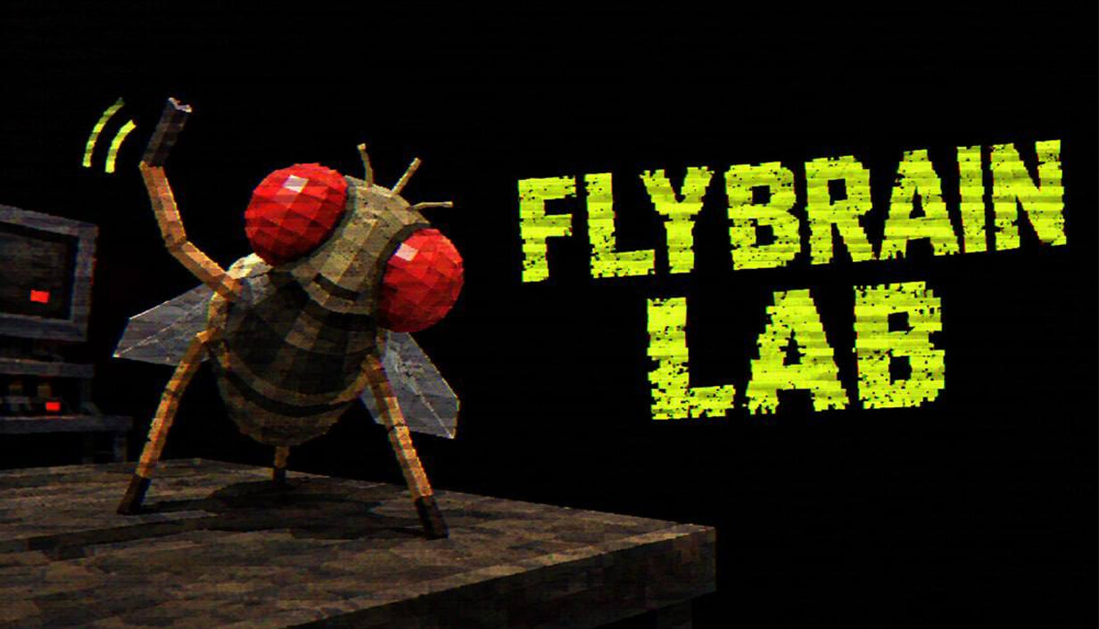 FLYBRAIN LAB cover art