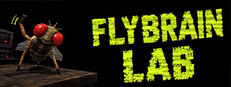 FLYBRAIN LAB