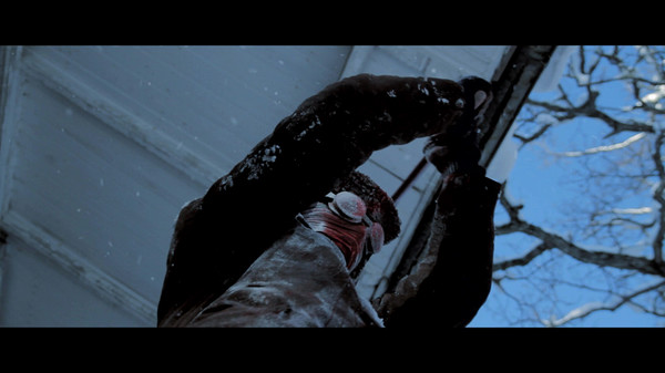 Blood Runs Cold