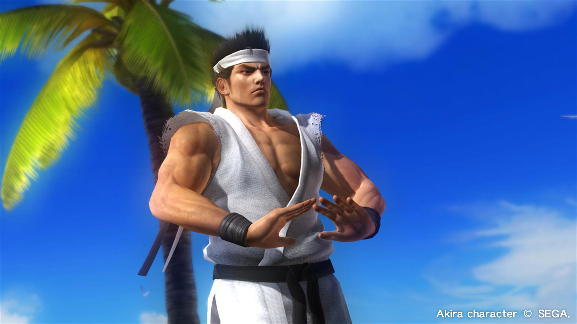 DEAD OR ALIVE 5 Last Round: Core Fighters Character: Akira Featured Screenshot #1