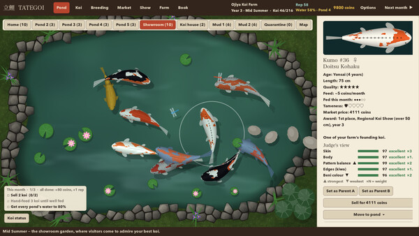 Tategoi screenshot 5