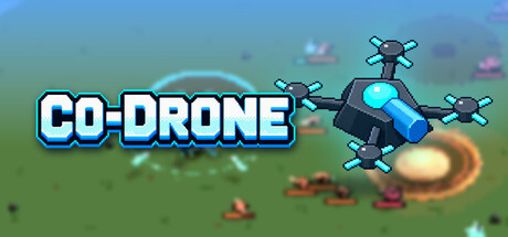 Co-drone