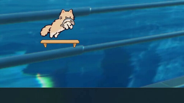 Your Cat — 4
