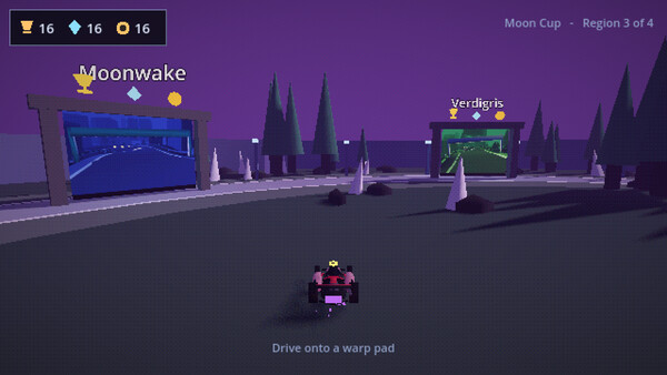 Penguin Kart Racer screenshot 2