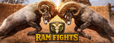 Ram Fights Playtest