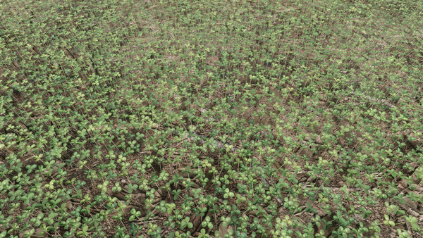 Six-Leaf Clover Hunt — 3