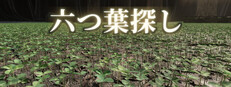 六つ葉探し