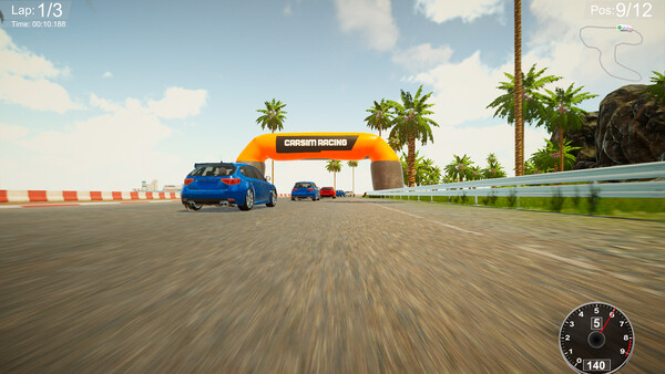 CarSim Racing Demo 스크린샷 2