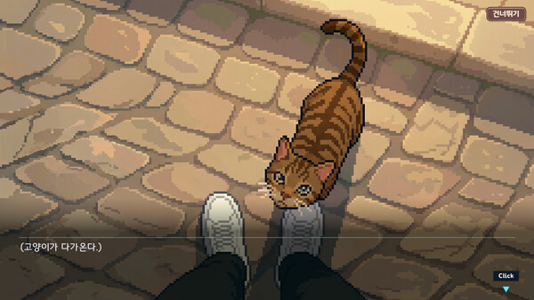 The Dreams of Dawn Cat — 2