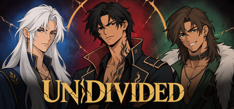 UNDIVIDED