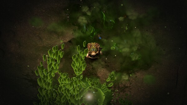 HAMSTER: CLAW — 5