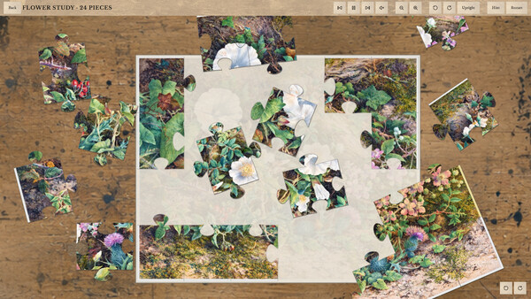 Impression Cabinet screenshot 2