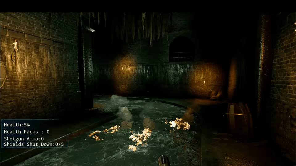 FILE 9 video 1