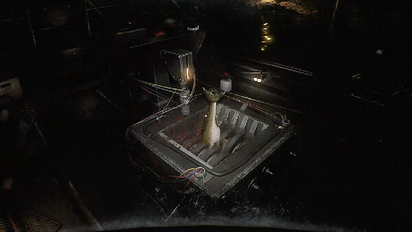 Aquamorta screenshot 8