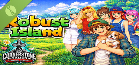 Robust Island Demo 표지