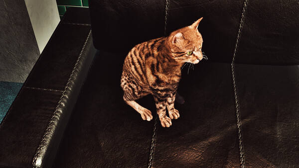 Billiard Cat screenshot 6