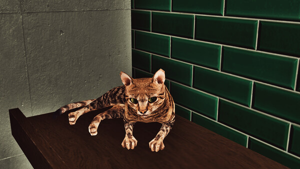 Billiard Cat screenshot 4