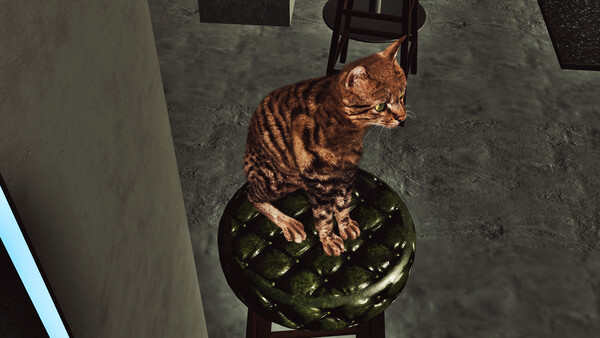 Billiard Cat screenshot 2