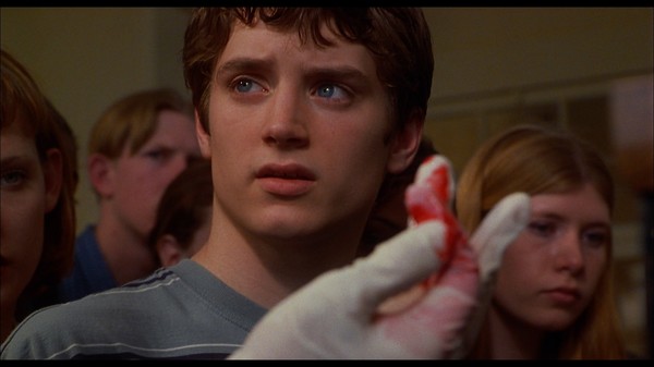 The Faculty