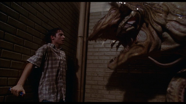 The Faculty