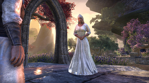 The Elder Scrolls Online - Crown Packs