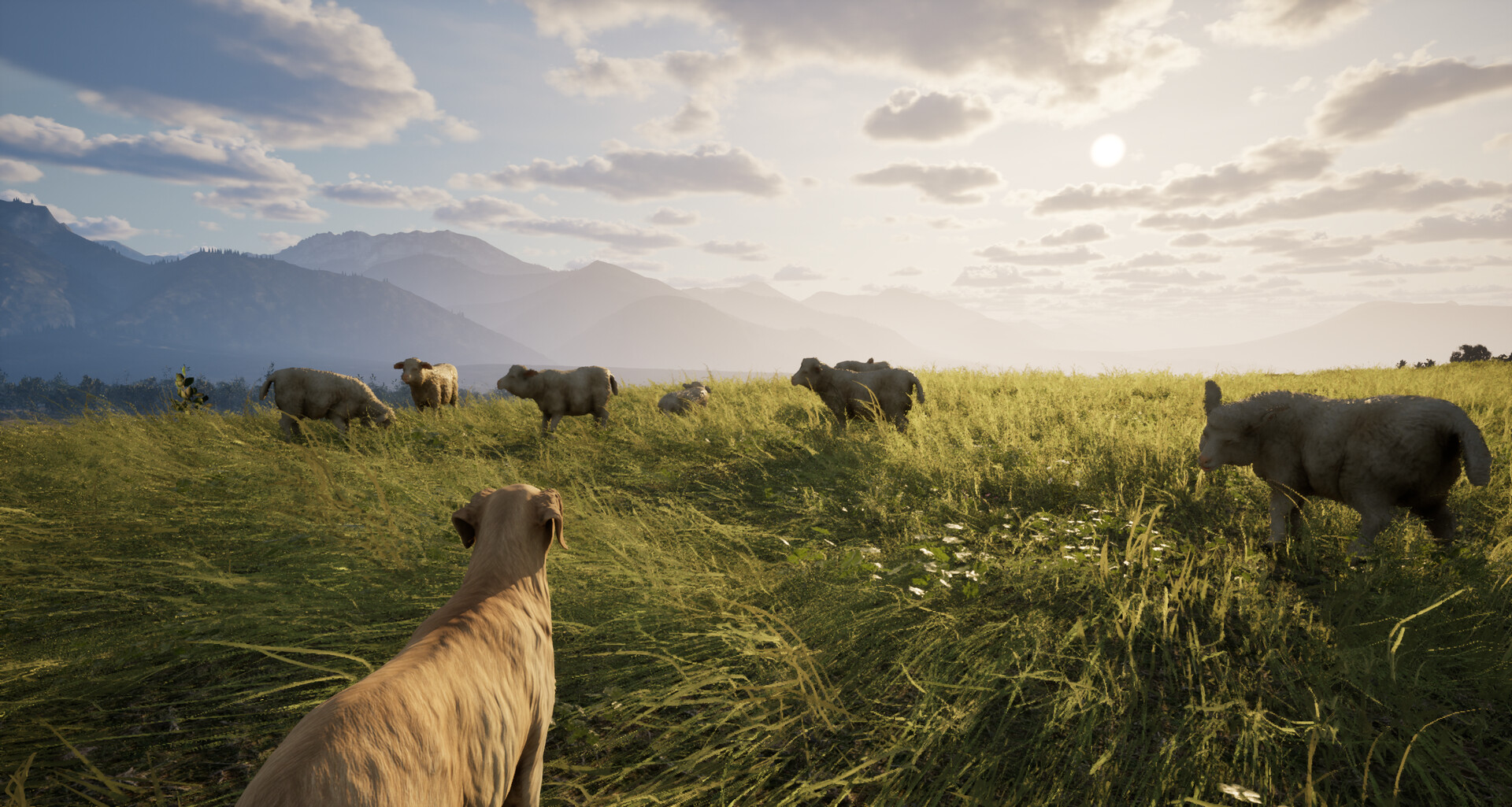 GORAL: Highlander Simulatorのスクリーンショット 1