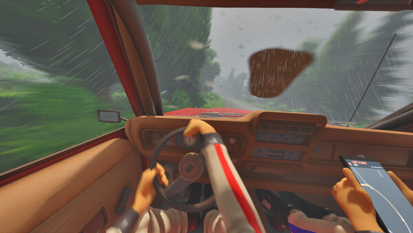 Rally with a Friend — 2