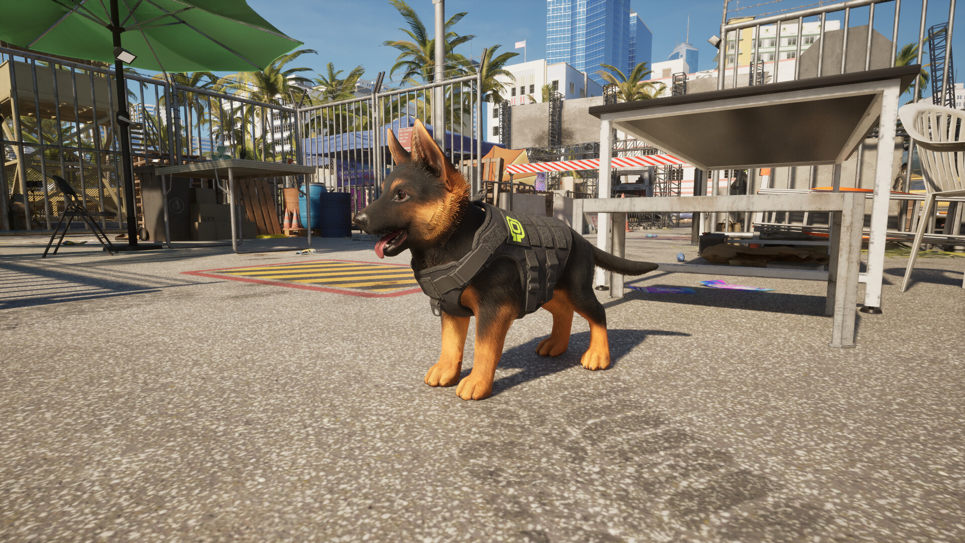 Screenshot 7