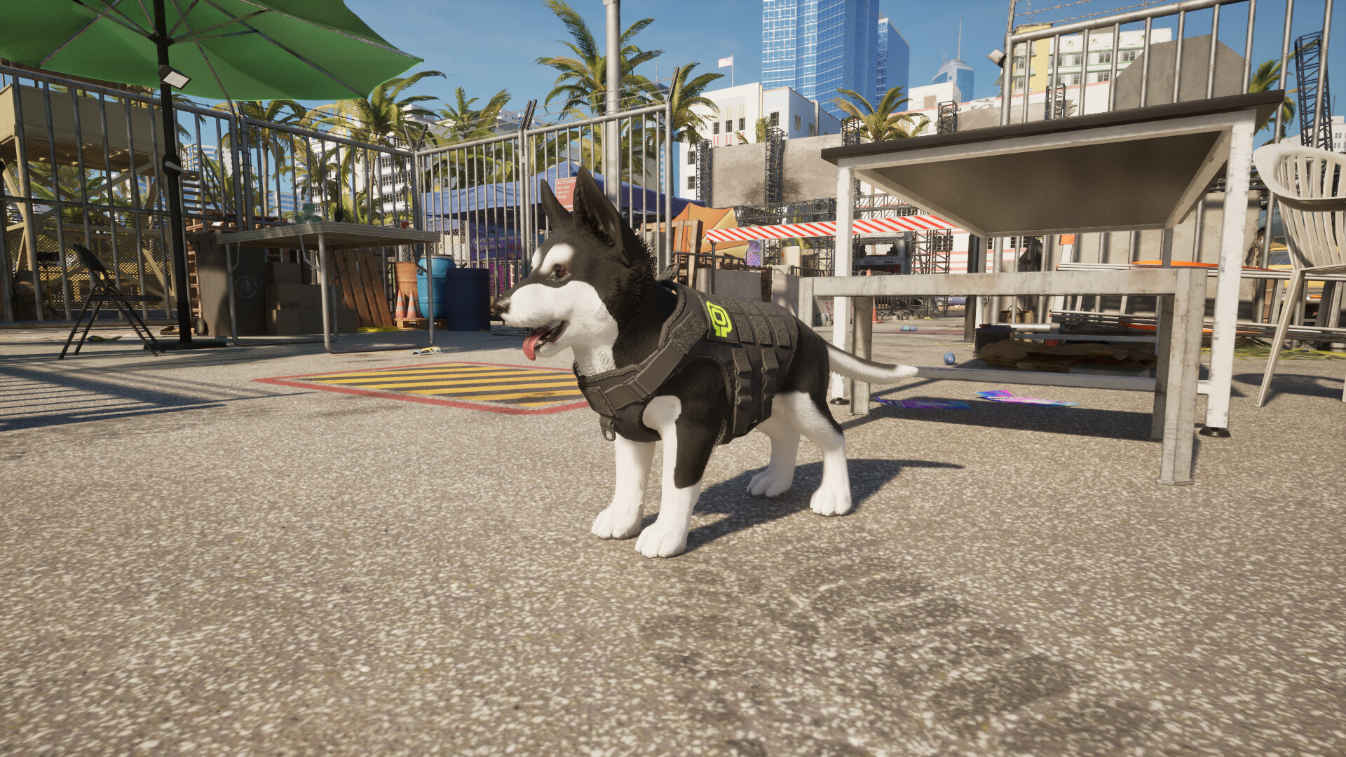 Screenshot 5
