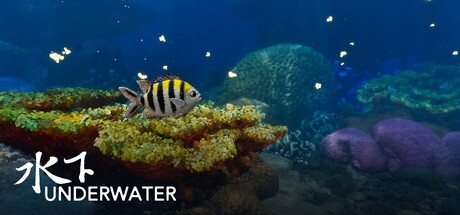 Underwaterの作品画像