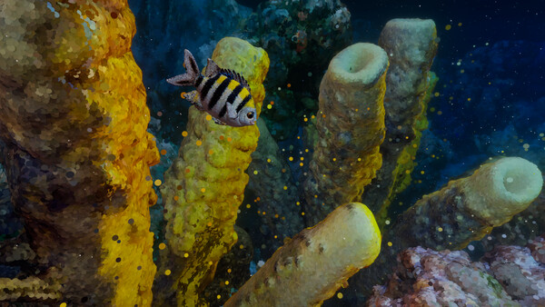 Underwater — 8
