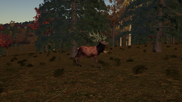 Dark Forest — 8