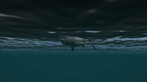 Dark Forest screenshot 2