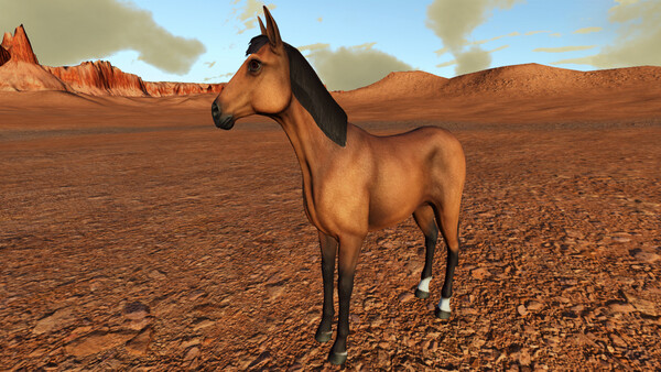 Wild West Canyon — 4