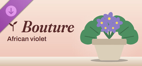 Bouture - African violet