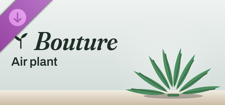 Bouture - Air plant