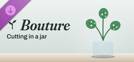 Bouture - Cutting in a jar
