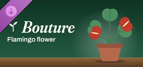 Bouture - Flamingo flower