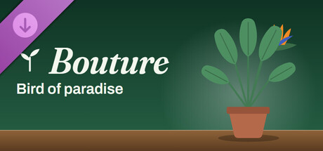 Bouture - Bird of paradise