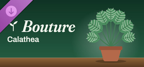 Bouture - Calathea