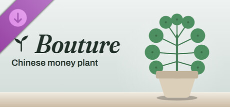 Bouture - Chinese money plant