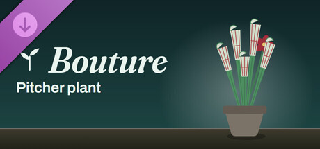 Bouture - Pitcher plant