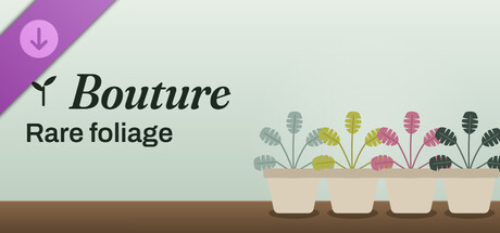 Bouture - Rare foliage