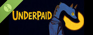 Underpaid Demo