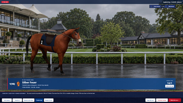 Stable Champs 스크린샷 3